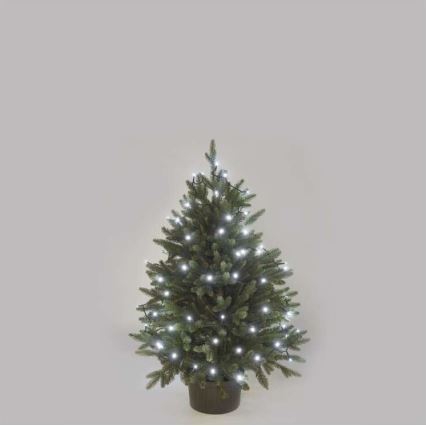 LED āra virtene 40xLED/9m IP44 auksti balta