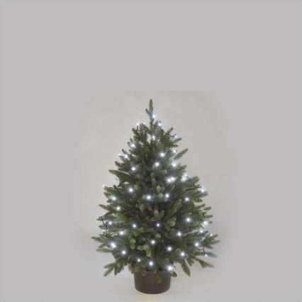 LED āra virtene 80xLED/13m IP44 auksta balta