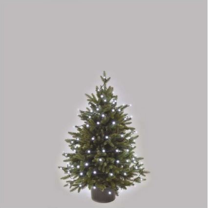 LED āra virtene 80xLED/13m IP44 auksti balta
