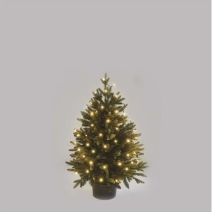 LED āra virtene 80xLED/3xAA 6,1m IP44 silti balta