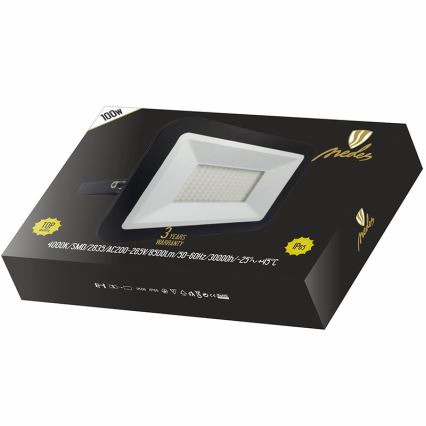 LED Atstarotājs LED/100W/230V IP65