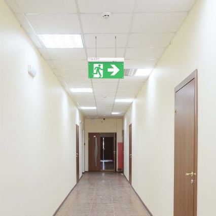 LED Avārijas gaismas lampa EMERGENCY EXIT LED/2,5W/230V 4in1 6000K