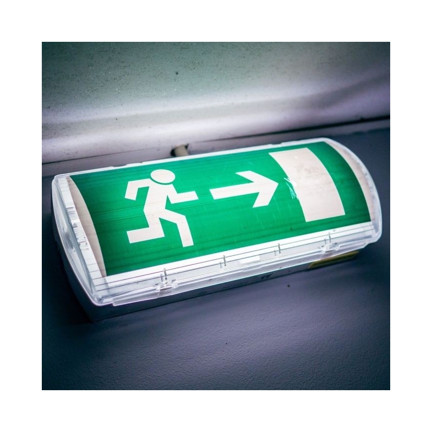 LED Avārijas gaismas lampa EMERGENCY EXIT LED/3W/230V IP65 6000K 1200mAh