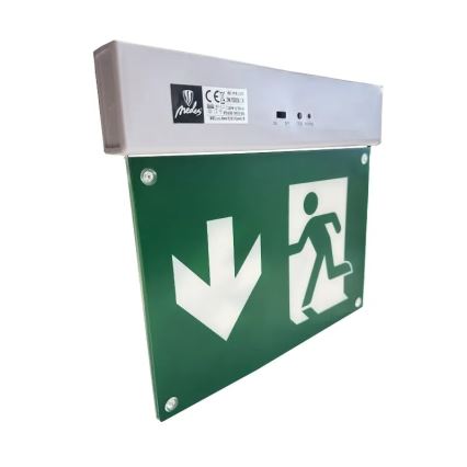 LED Avārijas gaismas lampa LED/2W/230V 6000K 300 mAh