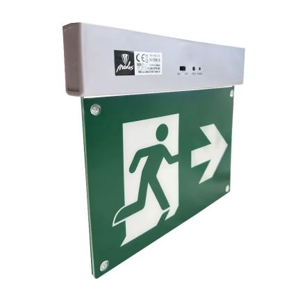 LED Avārijas gaismas lampa LED/2W/230V 6000K 300 mAh