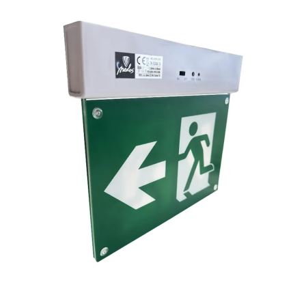 LED Avārijas gaismas lampa LED/2W/230V 6000K 300 mAh
