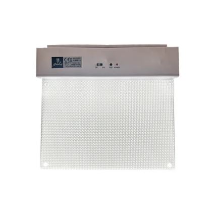 LED Avārijas gaismas lampa LED/2W/230V 6000K 300 mAh