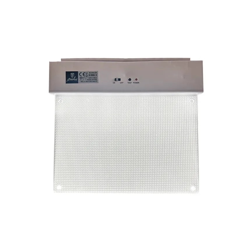 LED Avārijas gaismas lampa LED/2W/230V 6000K 300 mAh