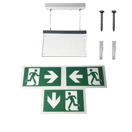 LED Avārijas gaismas lampa LED/4W/230V 6000K 1000 mAh