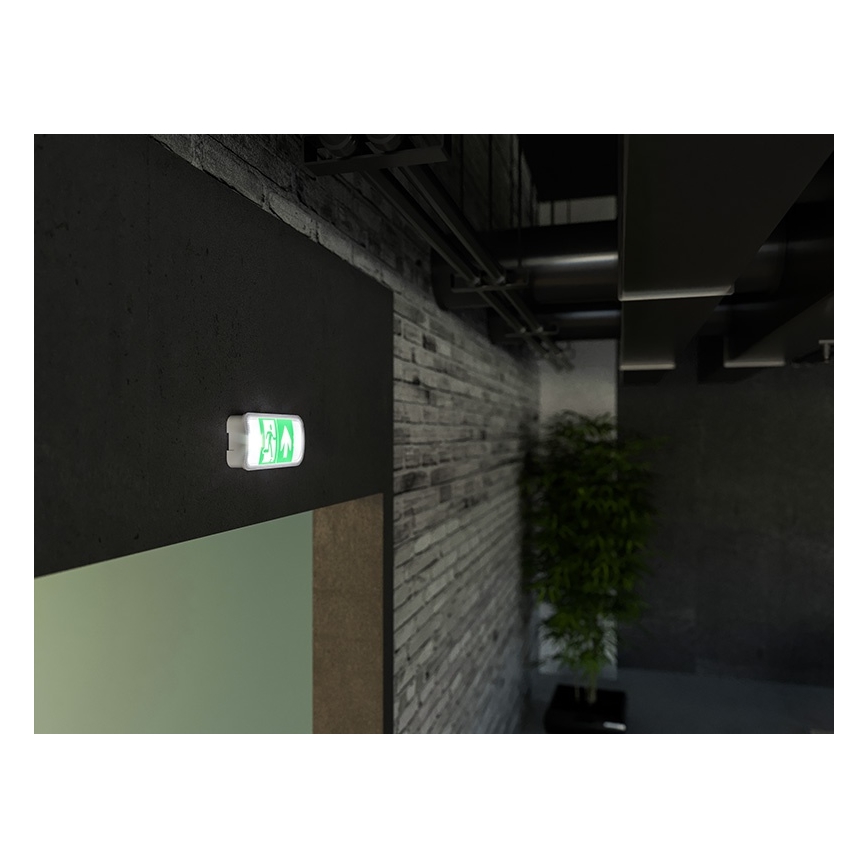 LED Avārijas gaismas lampa VIRGO EVO LED/1W/230V 6000K IP65