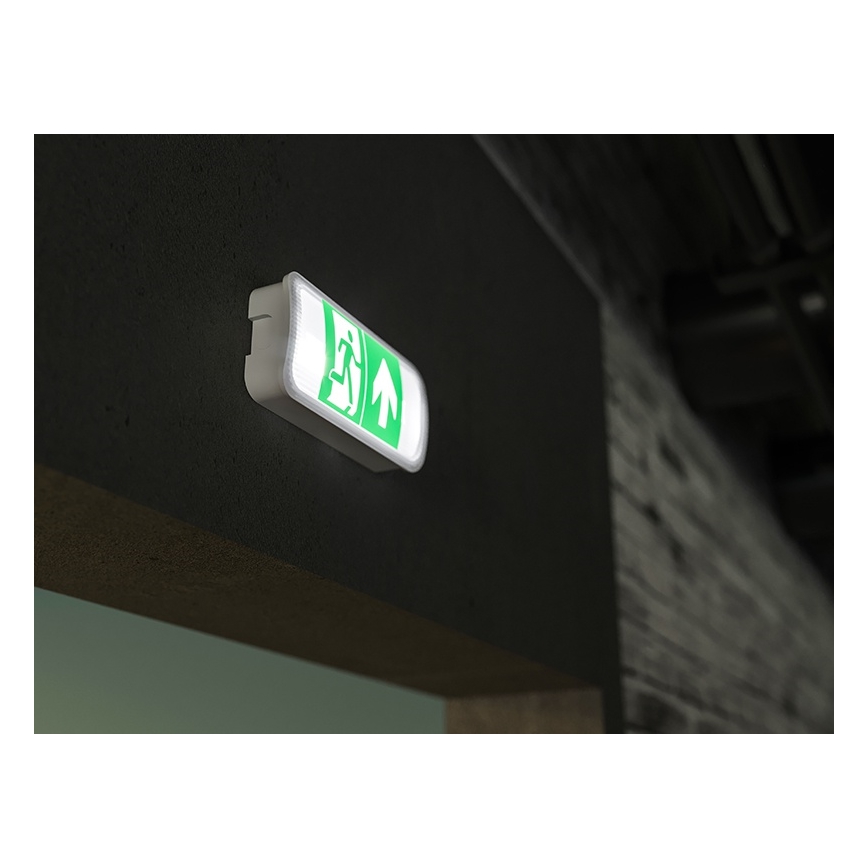 LED Avārijas gaismas lampa VIRGO EVO LED/1W/230V 6000K IP65