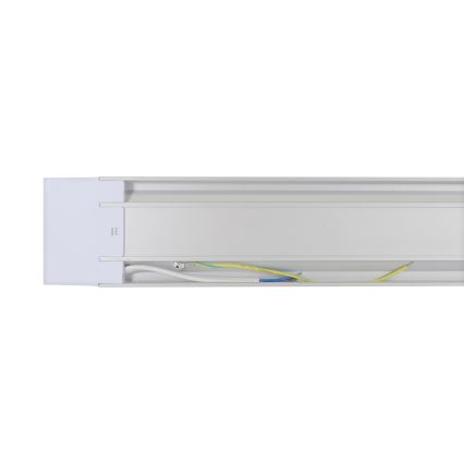 LED Dienasgaismas lampa AVILO 120 LED/36W/230V