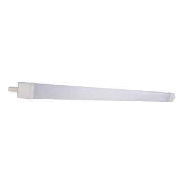 LED Dienasgaismas lampa DAISY LED/30W/230V 4000K IP65