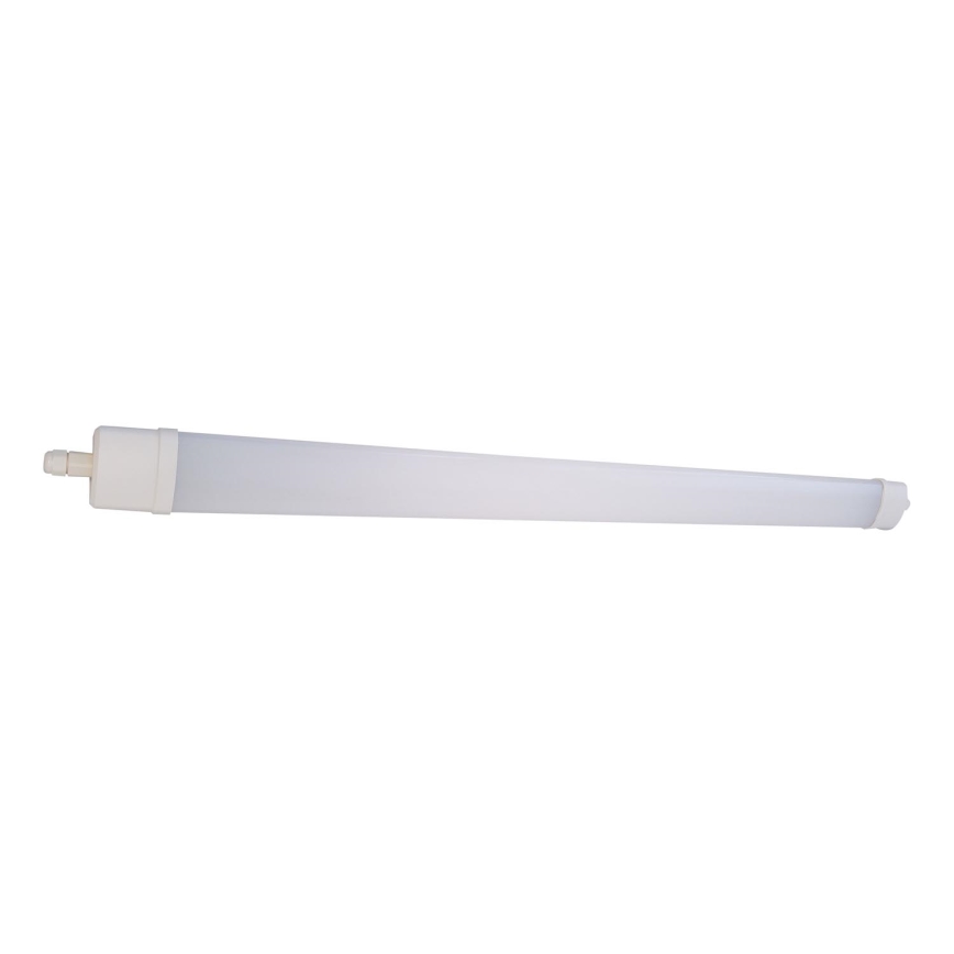 LED Dienasgaismas lampa DAISY LED/30W/230V 4000K IP65