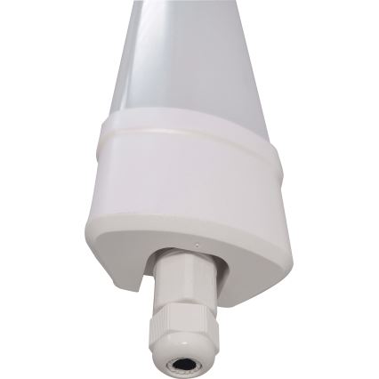 LED Dienasgaismas lampa DAISY LED/30W/230V 4000K IP65