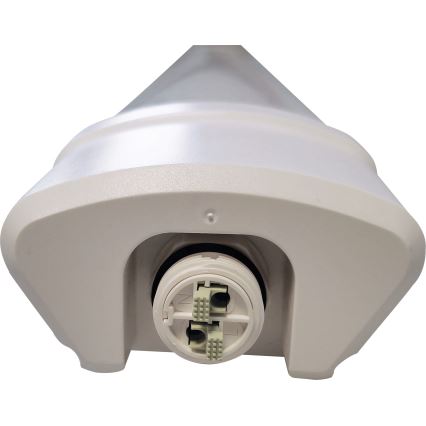 LED Dienasgaismas lampa DAISY LED/30W/230V 4000K IP65