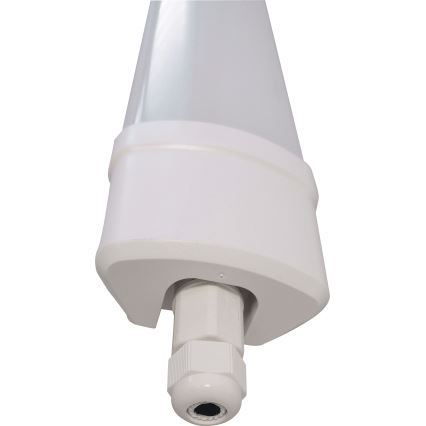 LED Dienasgaismas lampa DAISY LED/40W/230V 4000K IP65