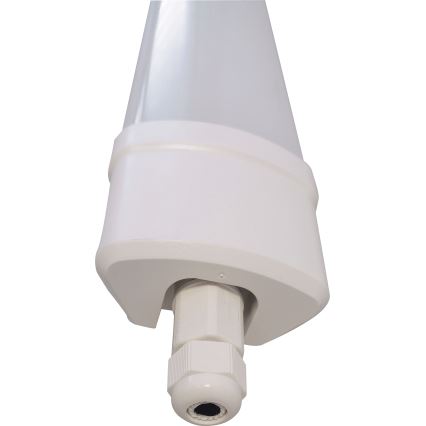 LED Dienasgaismas lampa DAISY LED/80W/230V 4000K IP65