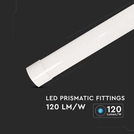 LED Dienasgaismas lampa LED/20W/230V 6500K 60 cm balta