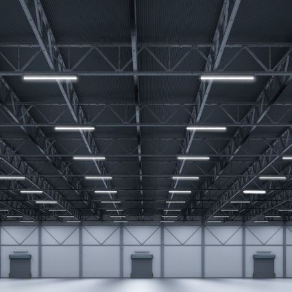 LED Dienasgaismas lampa LED/50W/230V 3000/4000/6500K 146 cm