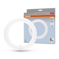 LED Dienasgaismas spuldze G10q/11W/230V 4000K - Osram