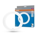 LED Dienasgaismas spuldze G10q/11W/230V 6500K - Osram