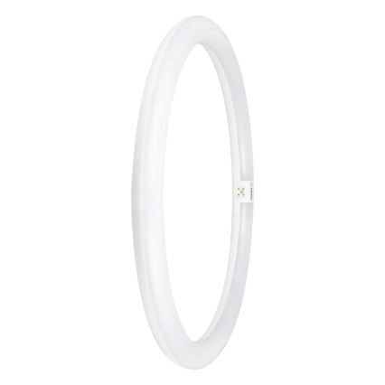 LED Dienasgaismas spuldze G10q/24W/230V 6500K - Osram
