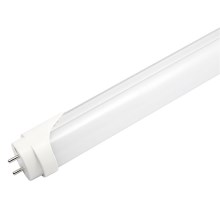 LED Dienasgaismas spuldze G13/9W/230V 6500K 60 cm