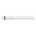 LED Dienasgaismas spuldze Philips MASTER T8 G13/16W/80V 6500K 120 cm