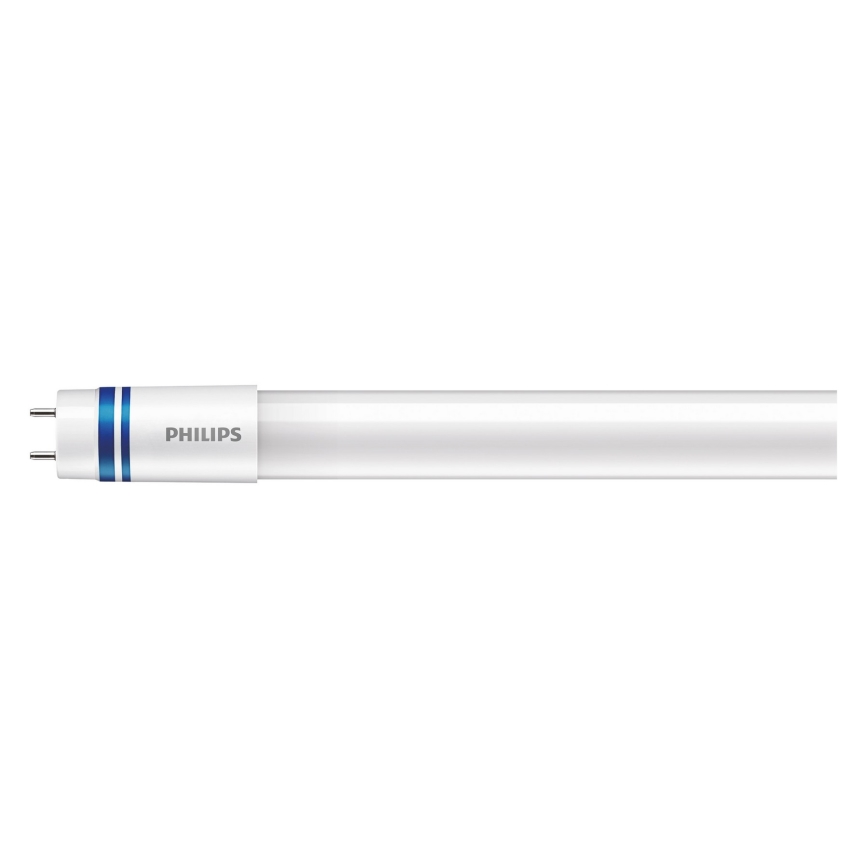 LED Dienasgaismas spuldze Philips MASTER T8 G13/16W/80V 6500K 120 cm
