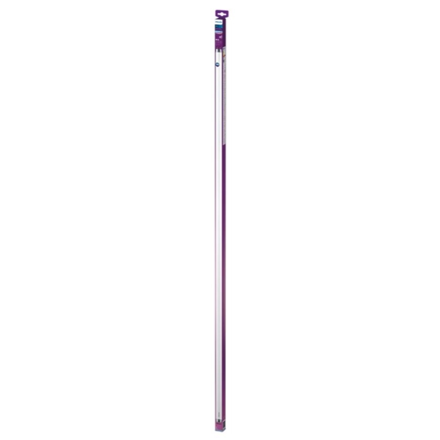 LED Dienasgaismas spuldze Philips T8 G13/19,5W/230V 6500K 150 cm