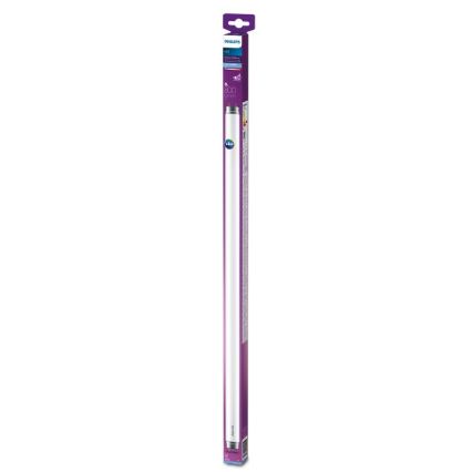 LED Dienasgaismas spuldze Philips T8 G13/8W/230V 6500K 60 cm
