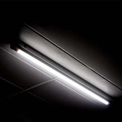 LED Dienasgaismas spuldze T5 G5/8W/230V 6500K 60 cm