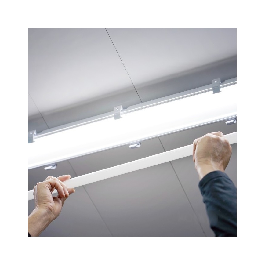 LED Dienasgaismas spuldze T8 G13/18W/230V 6500K 120 cm