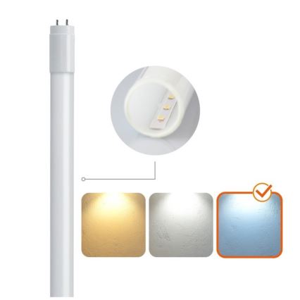 LED Dienasgaismas spuldze T8 G13/9W/230V 6500K 60 cm