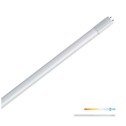 LED Dienasgaismas spuldze T8 G13/9W/230V 6500K 60 cm