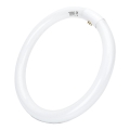 LED Dienasgaismas spuldze T9 G24q-1/32W/230V 6500K - Aigostar