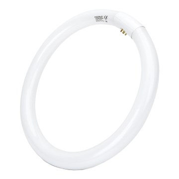 LED Dienasgaismas spuldze T9 G24q-1/32W/230V 6500K - Aigostar