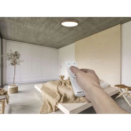 LED dimējams griestu gaismeklis ILVI LED/45W/230V 2700-6500K Ø 50 cm koka dekors + ar tālvadības pulti
