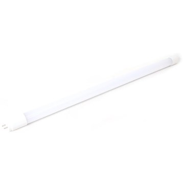 LED fluorescējoša caurule T8 G13/18W/230V 4200K 120 cm