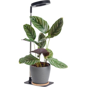 LED galda lampa ar regulējamu spilgtumu augu audzēšanai VERDI LED/5W/5V 1300K CRI 95 melna