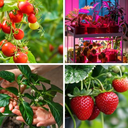 LED elastīga galda lampa ar regulējamu spilgtumu augu audzēšanai VITARO 4xLED/10W/230V melna