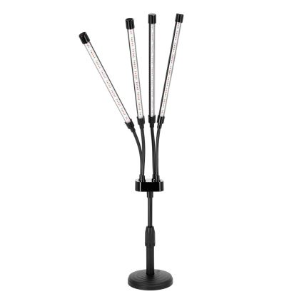 LED elastīga galda lampa ar regulējamu spilgtumu augu audzēšanai VITARO 4xLED/10W/230V melna