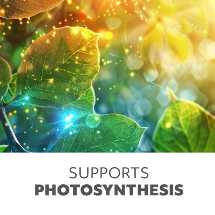 LED elastīga galda lampa ar regulējamu spilgtumu augu audzēšanai VITARO 4xLED/10W/230V melna