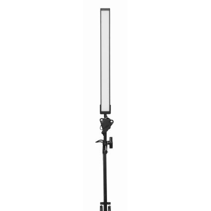 LED Galda lampa ar stiprinājumu LED/10W/230V 2800-6800K