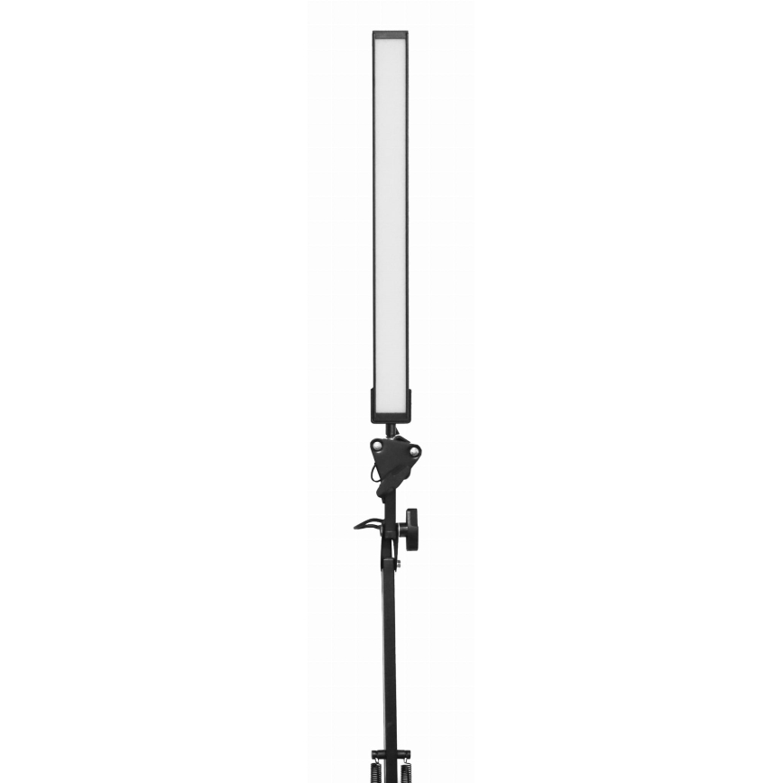 LED Galda lampa ar stiprinājumu LED/10W/230V 2800-6800K