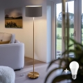 LED grīdas lampa TUNJA 1x E27/20W/230V Ø 38 cm zelta/brūna