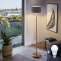 LED grīdas lampa TUNJA 1xE27/20W/230V Ø 30 cm zelta/brūna