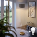 LED grīdas lampa TUNJA 1xE27/20W/230V Ø 30 cm zelta/taupe