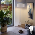 LED grīdas lampa TUNJA 1xE27/20W/230V Ø 38 cm melna/balta